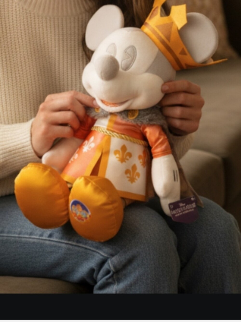 #172 Disney Plush Mickey Mouse